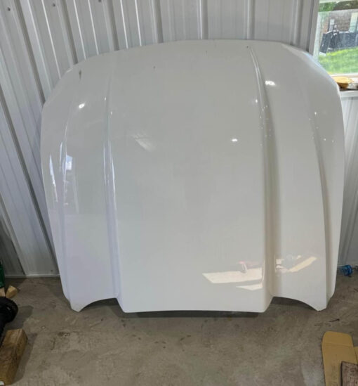 2019 Mustang Cervini 4 cowl hood