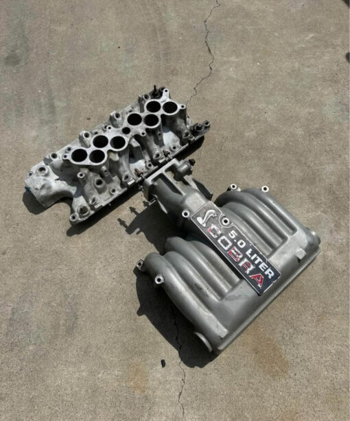 OEM Cobra intake