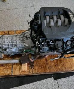 2024 S650 Mustang 5.0 Coyote Engine